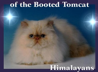 of the Booted Tomcat