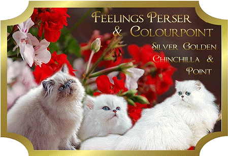 Feeling Persener