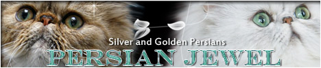 Homepage van Persian Jewel
