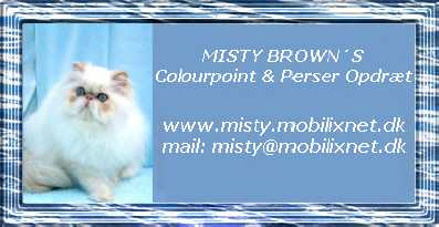 Misty Brown's Cattery, Danmark