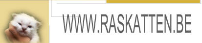 Raskatten BE