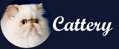 cattery