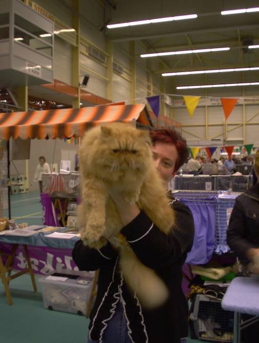 Haarlem Felikat 2004