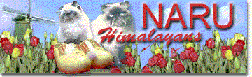 Naru cattery