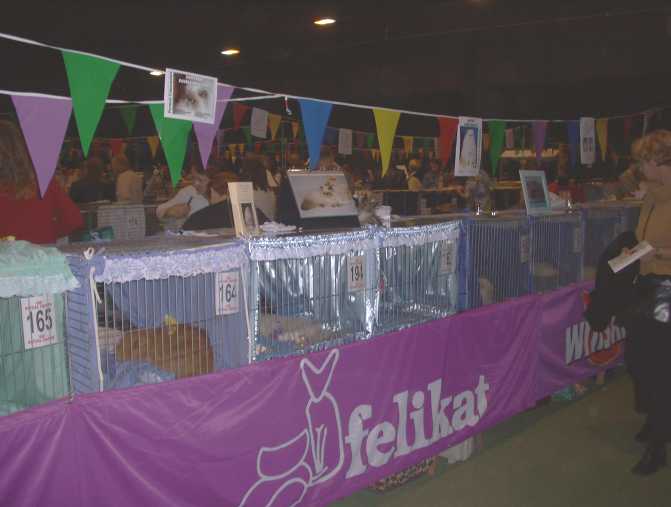 Nieuwegein Felikat 2003